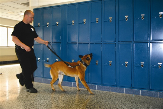 L-Photo9-dog-sniffing-locker-1